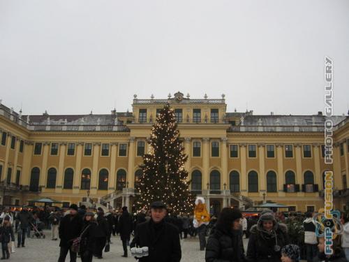 img_2115.jpg